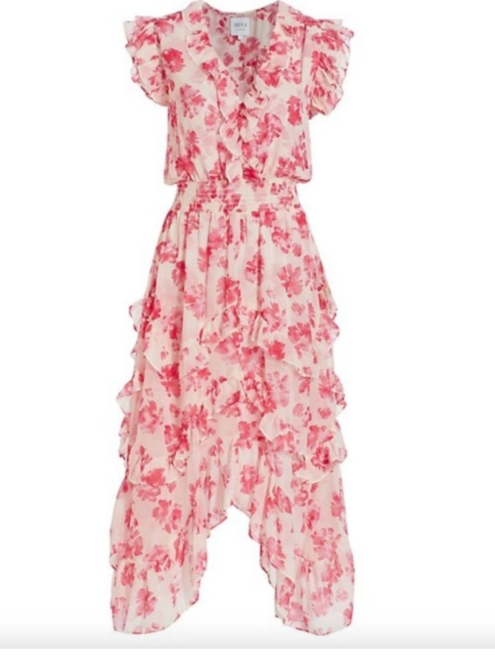 NWT MISA Los Angeles Dakota Dress Size Small in Watermelon
Blossom
